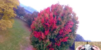 Foggy-Autumn-Day-FPV-Freestyle-EpiQuad-210x