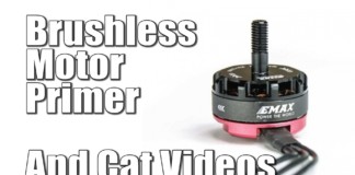 RC-Brushless-Motor-Primer-With-Cats