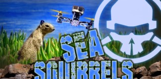 Sea-Squirrels