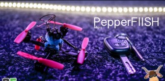 PepperFIISH-Micro-MRO-Build-Day-DVR
